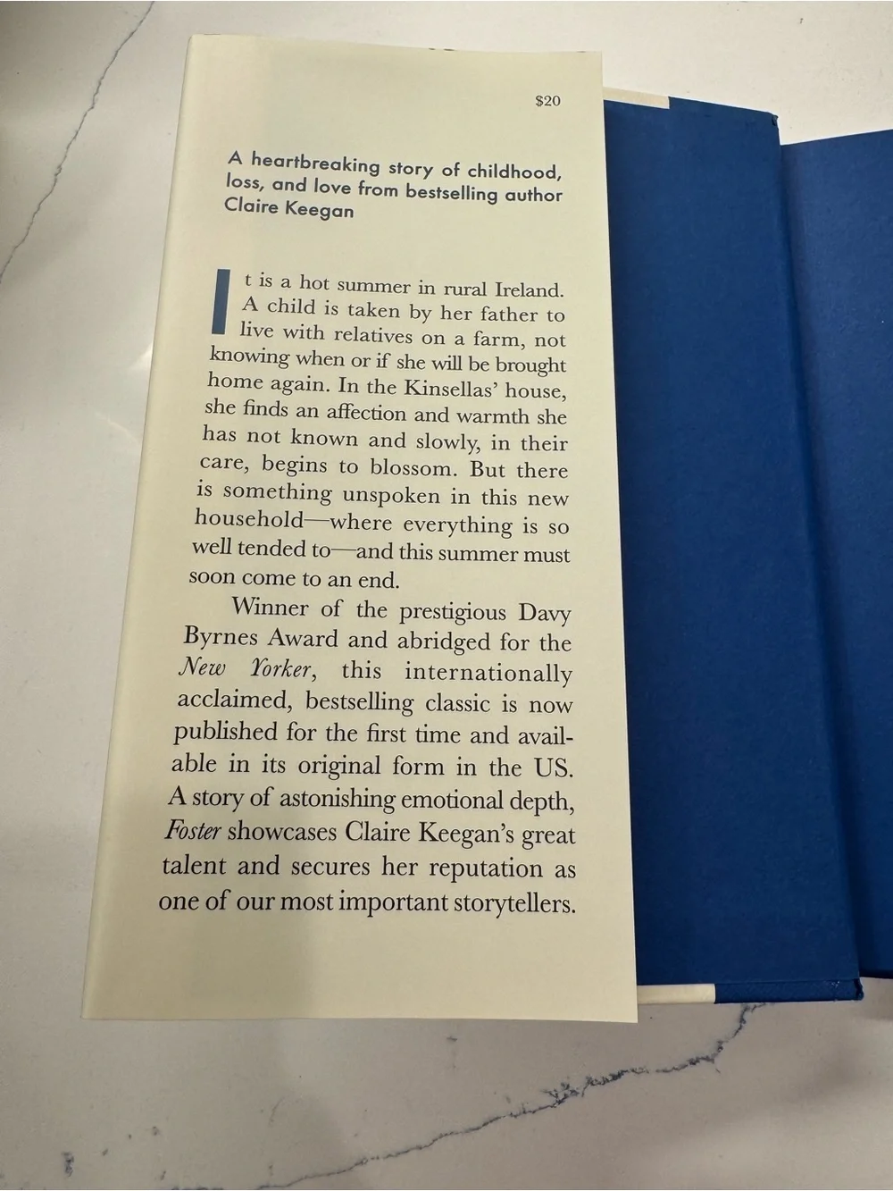 Claire Keegan Foster (2022) Hardcover Fiction Novella w/ Dust Jacket